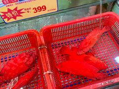 -渔民新村(番禺总店)