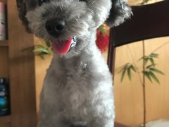 -惠康宠物医院(华能路店)