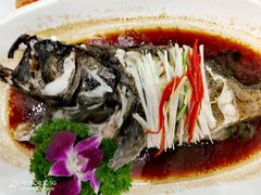 清蒸老虎斑-小贝壳酒楼(经九路店)