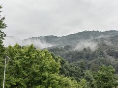 -石台牯牛降景区