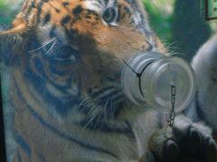 -栾川竹海野生动物园