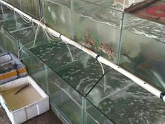 -罗源湾8号渔排
