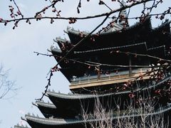 -杭州半山国家森林公园