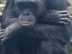 景点-西安秦岭野生动物园