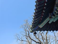 -潭柘寺景区