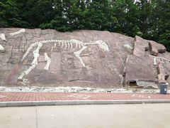 -哈尔滨北方森林动物园