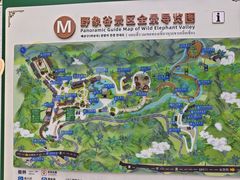 -野象谷景区