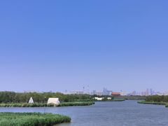 -西青郊野公园