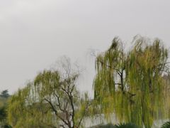 -月湖风景区