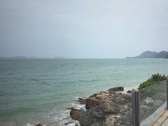 -杨梅坑