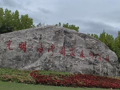 -上海海湾国家森林公园