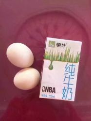 -香薇妮丝女子减肥院