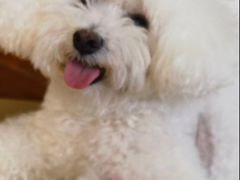 -美联众合动物医院·24h转诊中心