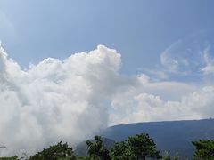-庐山风景区花径公园