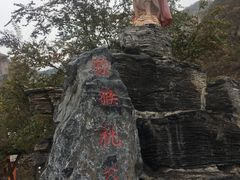 -大岭沟猕猴桃谷风景区