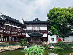 -绿波廊(豫园店)