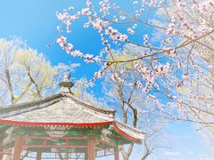 -颐和园