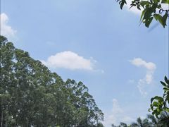 -揭东万竹园旅游景区