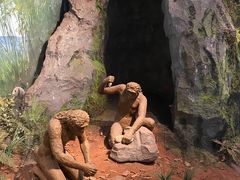 -重庆自然博物馆(新馆)