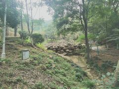-南京老山国家森林公园