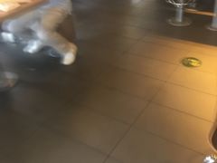 -麦当劳(团结湖店)