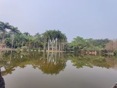 -中国科学院西双版纳热带植物园