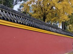 -宝光寺