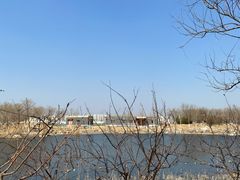 -水西公园
