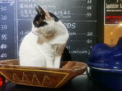 -JUKEBOX玖部音乐餐厅(华侨城店)