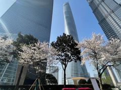 -上海环球金融中心骑迹50年环球之旅