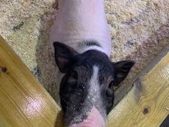 -正佳雨林生态植物园