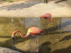 -鄂尔多斯野生动物园