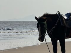 -南澳海滩