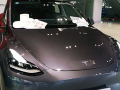 -TESLA 特斯拉(深圳观澜特斯拉直营钣喷中心)