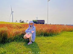 -那香海钻石沙滩浴场