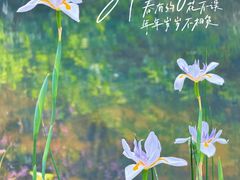 -云溪植物园