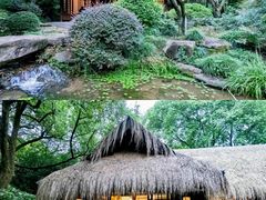 -中国茶叶博物馆(双峰馆区)