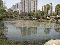 -桃花岭景区