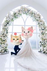 点击看大图 -金夫人婚纱摄影(华南店)