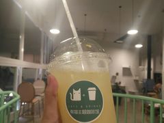 卡曼橘养乐多-有猫主题·治愈系猫咖(曾厝垵店)