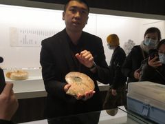 -青岛贝壳博物馆