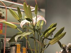 -南堂馆·新川菜(春熙路店)