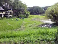 -四季酒店下午茶