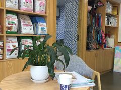 -宠颐生宠物医院·心肾内科·猫专科诊疗中心宠巢店