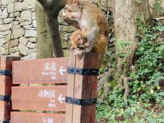 -黔灵山公园-南门售票处