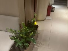 -泰合玺·精油疗愈 SPA(南京河西万达店)
