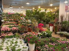 -双季花艺园艺市场(浦东店)