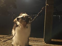 -杭州黄龙洞
