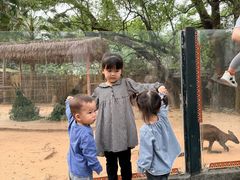 -深圳野生动物园