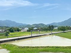 -黄牛肉馆·皖南土菜